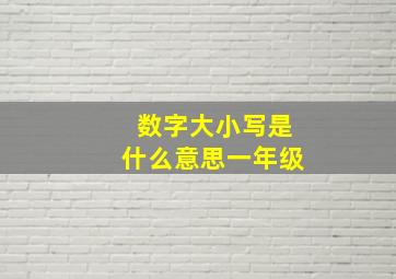 数字大小写是什么意思一年级