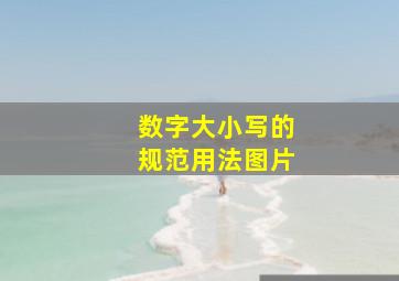 数字大小写的规范用法图片