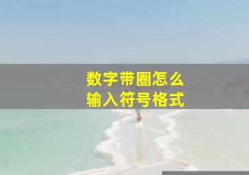 数字带圈怎么输入符号格式