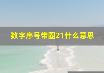 数字序号带圈21什么意思