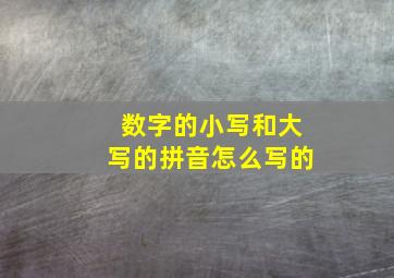 数字的小写和大写的拼音怎么写的