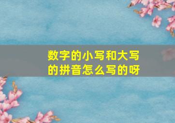 数字的小写和大写的拼音怎么写的呀