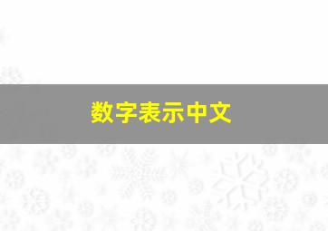 数字表示中文