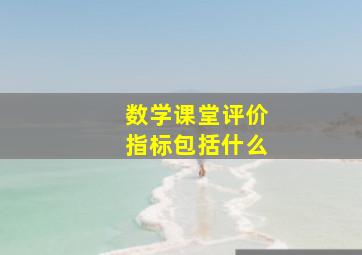 数学课堂评价指标包括什么