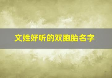 文姓好听的双胞胎名字