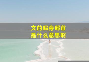 文的偏旁部首是什么意思啊