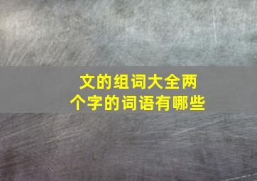 文的组词大全两个字的词语有哪些