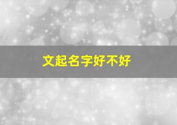 文起名字好不好