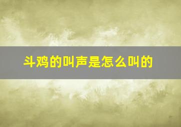 斗鸡的叫声是怎么叫的