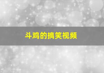 斗鸡的搞笑视频