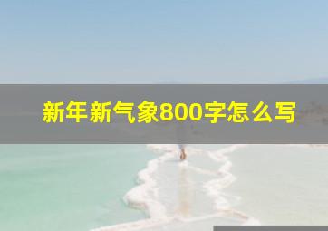 新年新气象800字怎么写