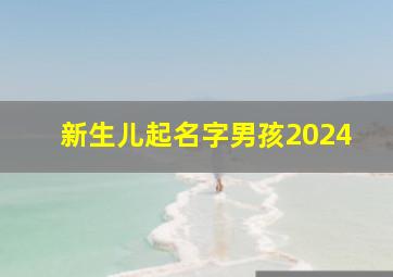 新生儿起名字男孩2024