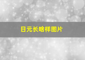 日元长啥样图片