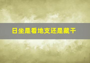 日坐是看地支还是藏干