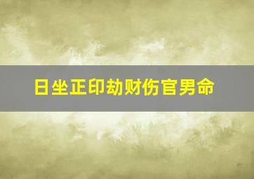 日坐正印劫财伤官男命