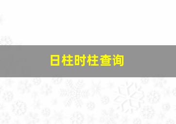 日柱时柱查询