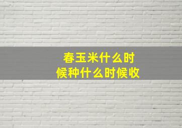 春玉米什么时候种什么时候收