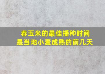 春玉米的最佳播种时间是当地小麦成熟的前几天