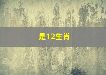 是12生肖