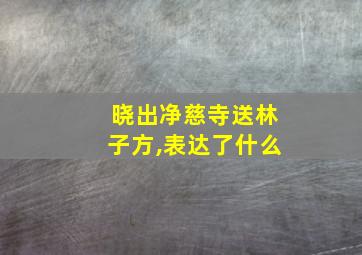 晓出净慈寺送林子方,表达了什么