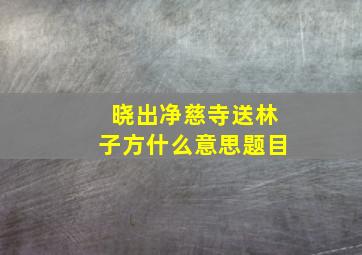 晓出净慈寺送林子方什么意思题目