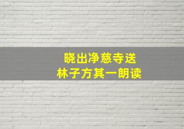 晓出净慈寺送林子方其一朗读