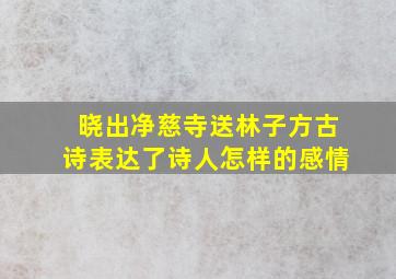 晓出净慈寺送林子方古诗表达了诗人怎样的感情