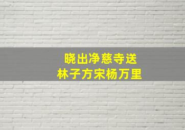 晓出净慈寺送林子方宋杨万里