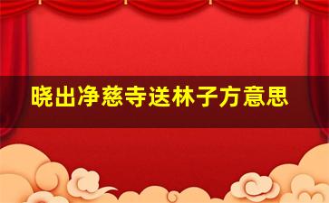 晓出净慈寺送林子方意思