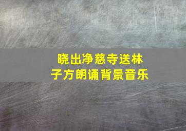 晓出净慈寺送林子方朗诵背景音乐