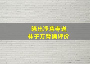 晓出净慈寺送林子方背诵评价