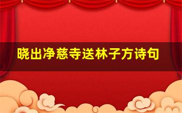 晓出净慈寺送林子方诗句