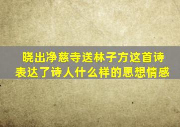 晓出净慈寺送林子方这首诗表达了诗人什么样的思想情感