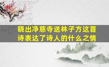 晓出净慈寺送林子方这首诗表达了诗人的什么之情