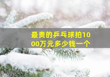 最贵的乒乓球拍1000万元多少钱一个