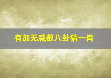 有加无减数八卦猜一肖