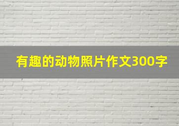 有趣的动物照片作文300字