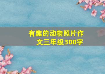 有趣的动物照片作文三年级300字