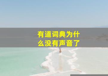 有道词典为什么没有声音了