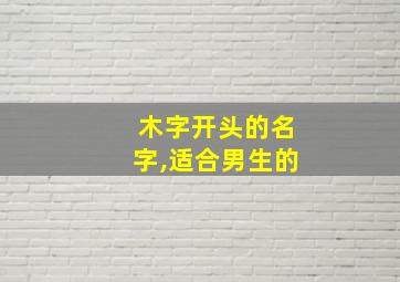 木字开头的名字,适合男生的