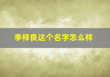 李梓良这个名字怎么样