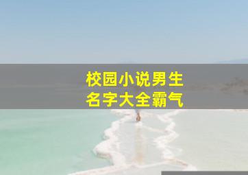 校园小说男生名字大全霸气