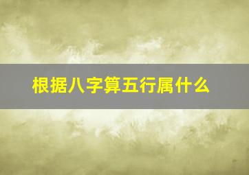 根据八字算五行属什么