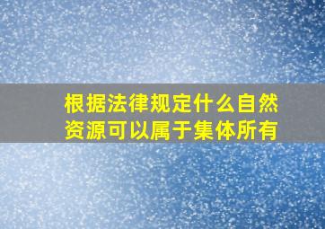 根据法律规定什么自然资源可以属于集体所有