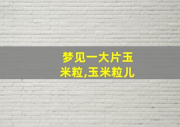 梦见一大片玉米粒,玉米粒儿