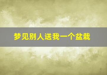 梦见别人送我一个盆栽