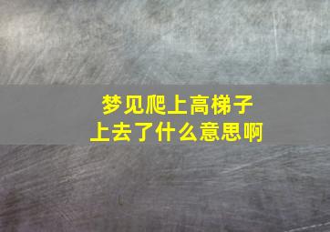 梦见爬上高梯子上去了什么意思啊