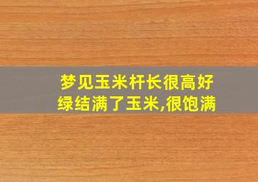 梦见玉米杆长很高好绿结满了玉米,很饱满