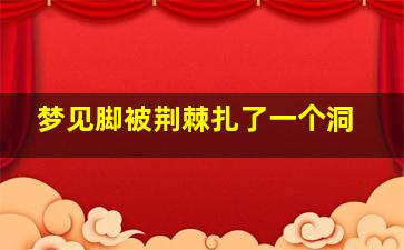 梦见脚被荆棘扎了一个洞