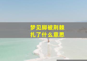 梦见脚被荆棘扎了什么意思